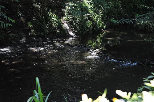 a0278809_22585182.jpg