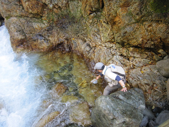 d0241509_21491622.jpg