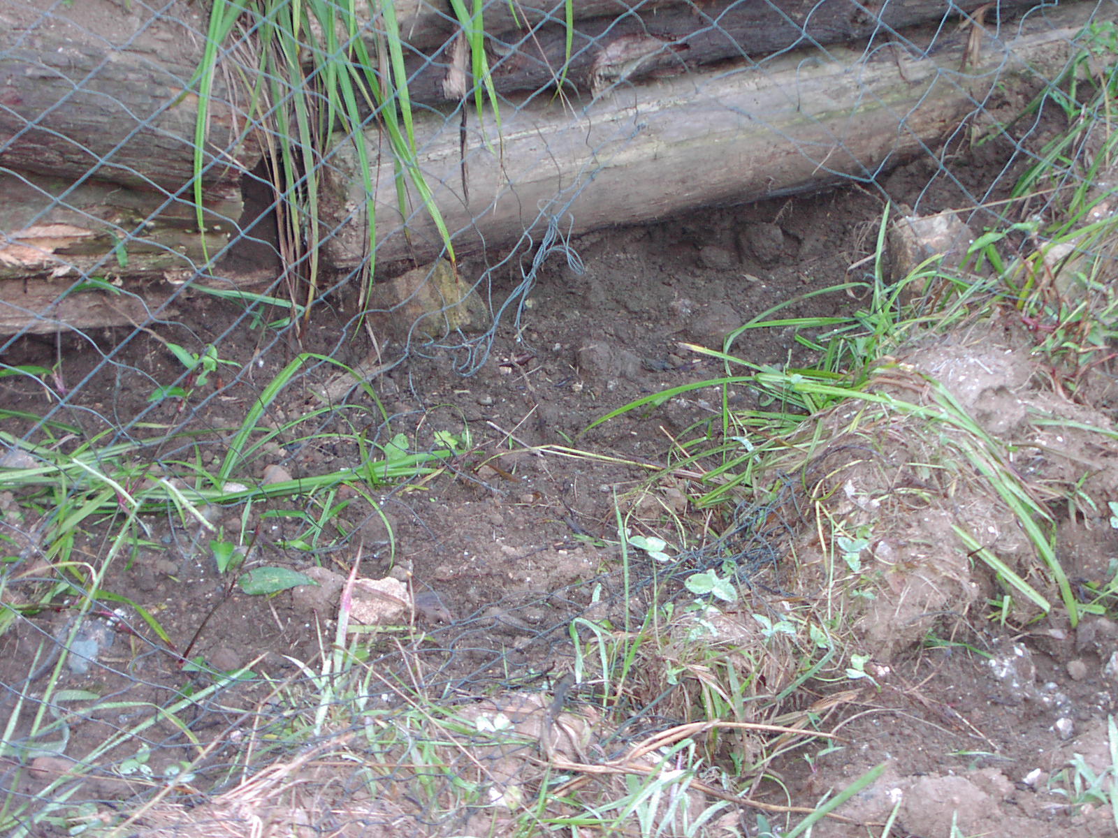 f0164410_2151867.jpg