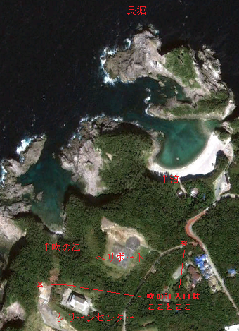 b0114415_22593291.png