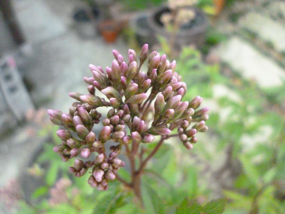f0228619_22464277.jpg
