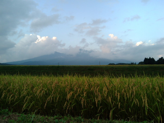 f0177521_17231059.jpg