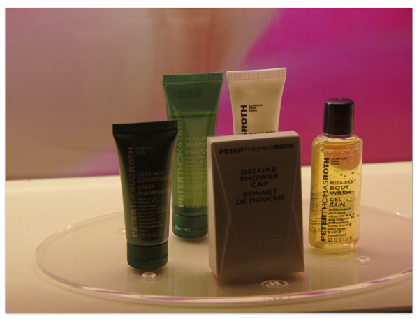 エーゲ海・アドリア海クルーズ(3) Hoppaバスでヒルトンホテルへ_d0210324_443025.jpg