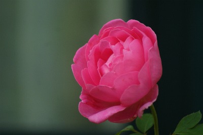 f0170524_17382899.jpg