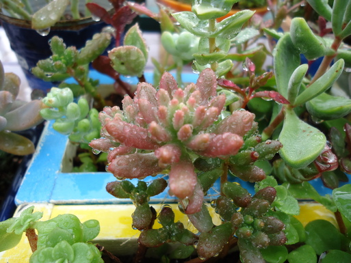 d0225727_97848.jpg