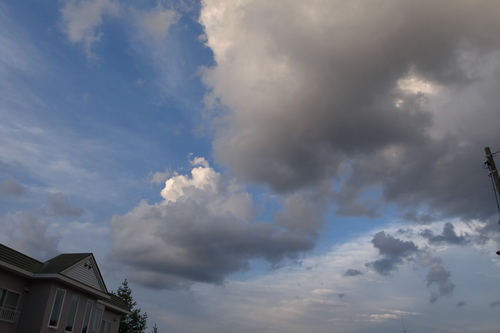 c0051132_20415821.jpg