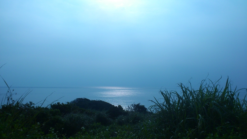 f0229844_23594641.jpg