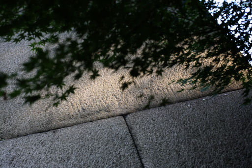 c0035245_1831337.jpg