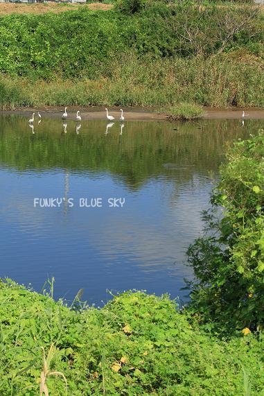 c0145250_958157.jpg