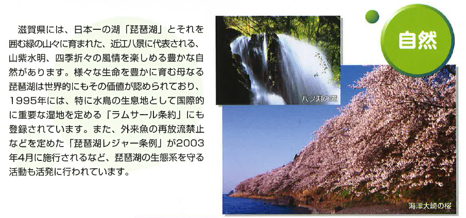 b0215856_1854497.png