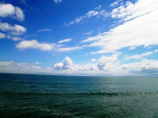 a0174458_8172751.jpg