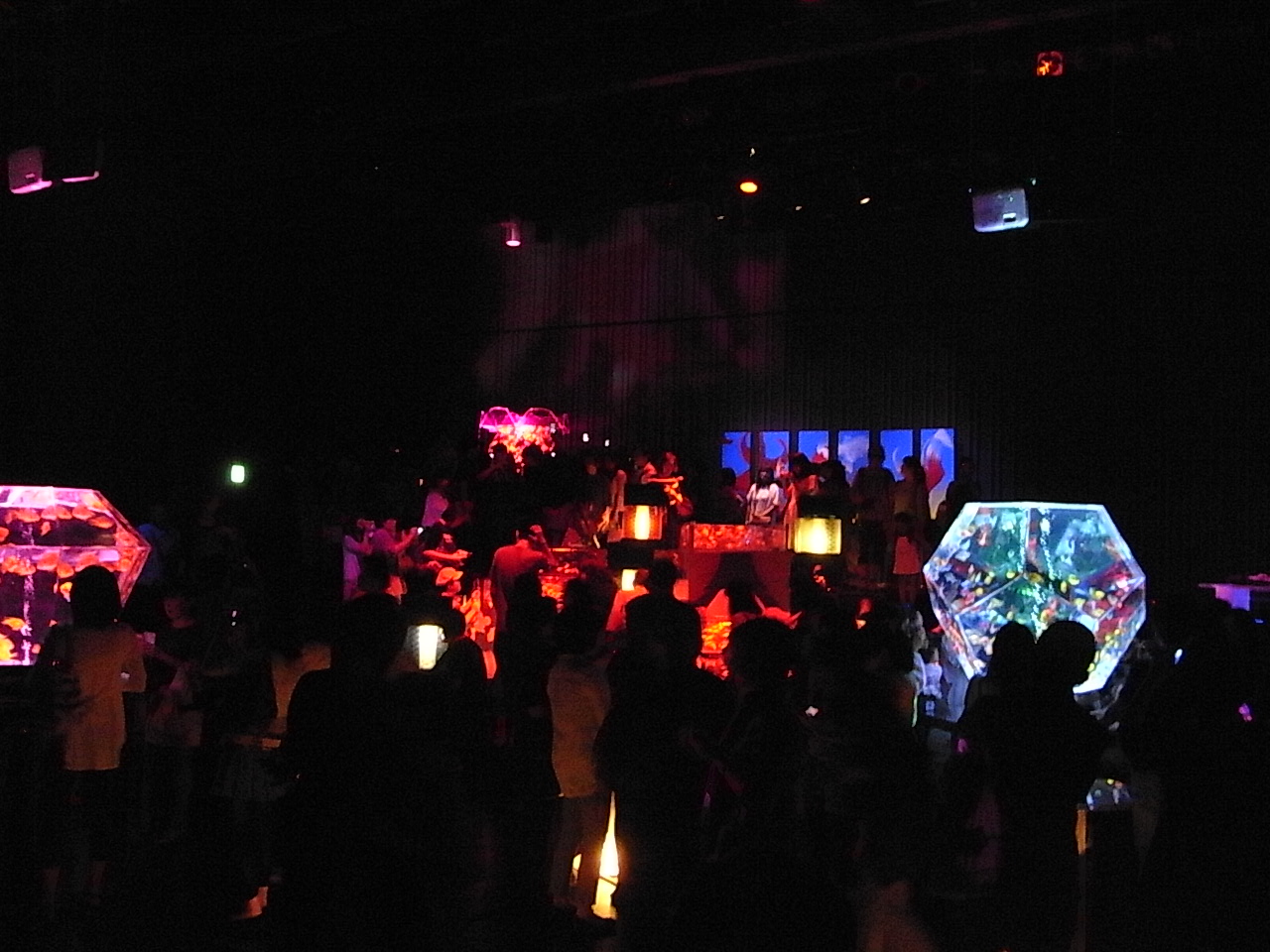 d0117565_21295764.jpg