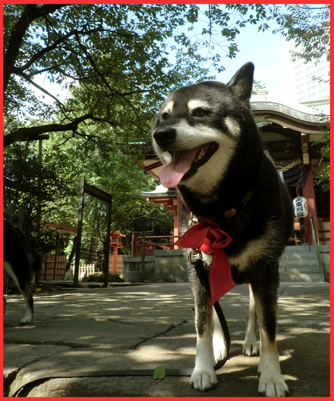 東京タワー、「 I LOVE !」。_e0236072_21411.jpg