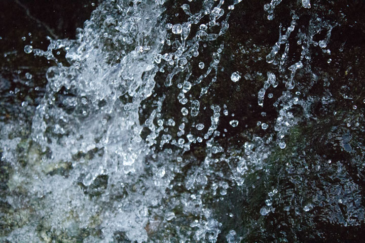 b0041473_10283277.jpg