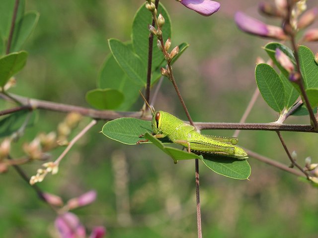 秋です。_b0135573_1710856.jpg