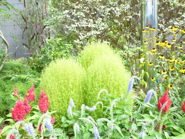 f0200477_07116.jpg
