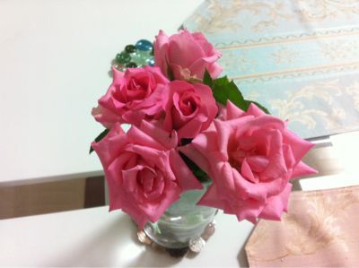 毎日バラのプレゼント (追記あり)_f0186787_2155793.jpg