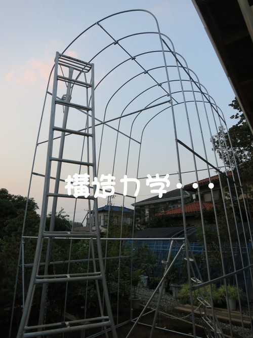 日本一背が高く小さいビニールハウス_b0200291_20352942.jpg