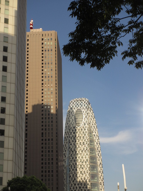 a0193698_19461028.jpg