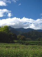 d0076603_2103188.jpg
