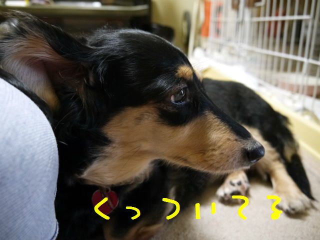 f0218911_9214273.jpg