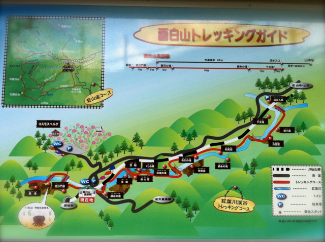 面白山コスモスベルグ 面白山トレッキング 山モン ときどき酒