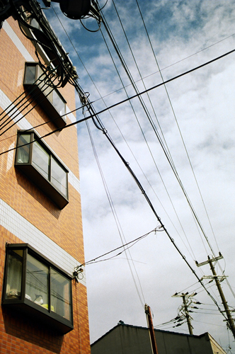 a0145825_962960.jpg