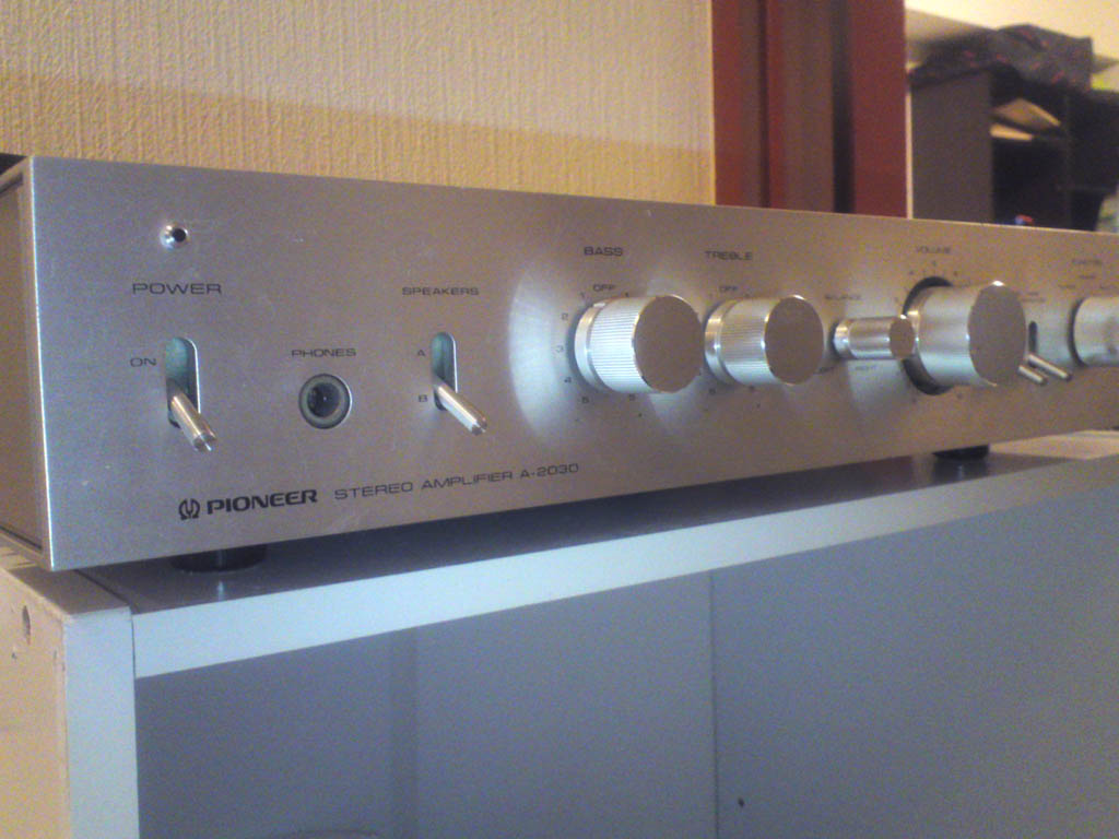 Pioneer パイオニア Pure Cable 99.99995 1m ペア ケーブル