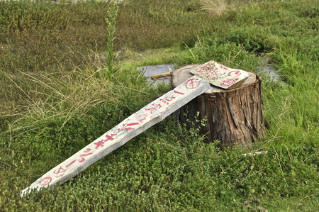 a0166329_350551.jpg