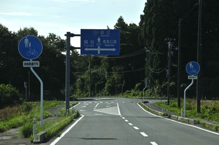 a0166329_3553987.jpg