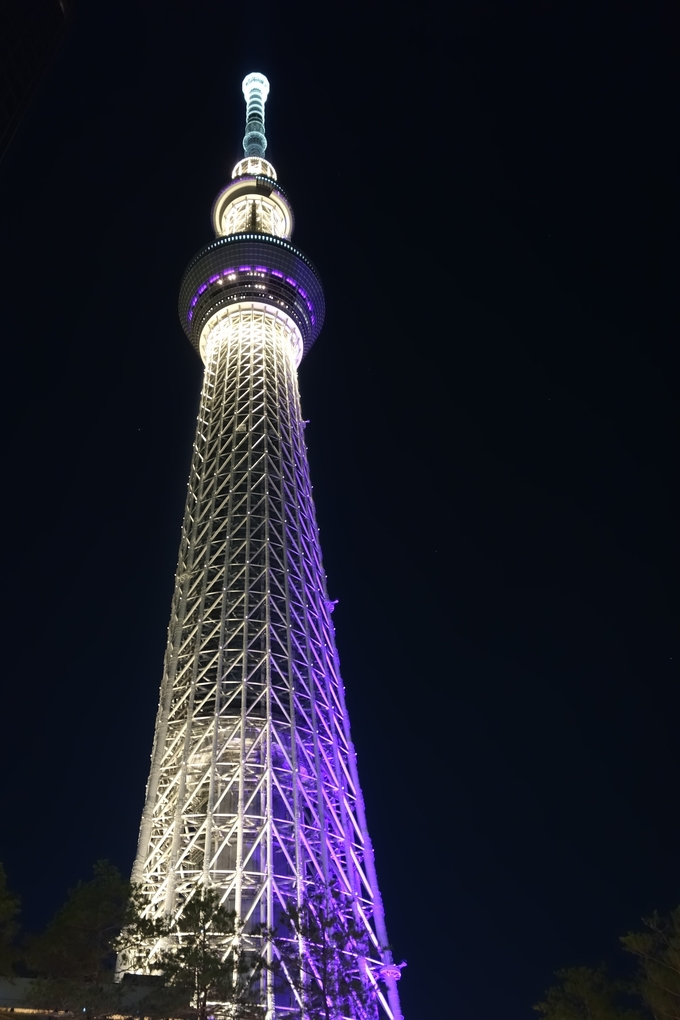 a0287336_23323568.jpg