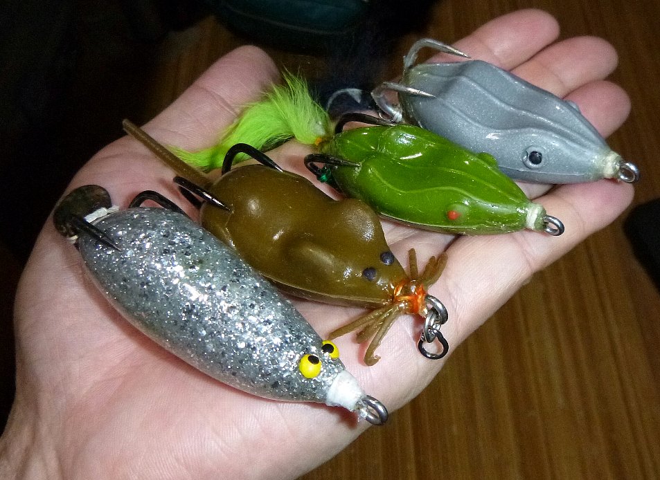スナプル 雷魚 フロッグ