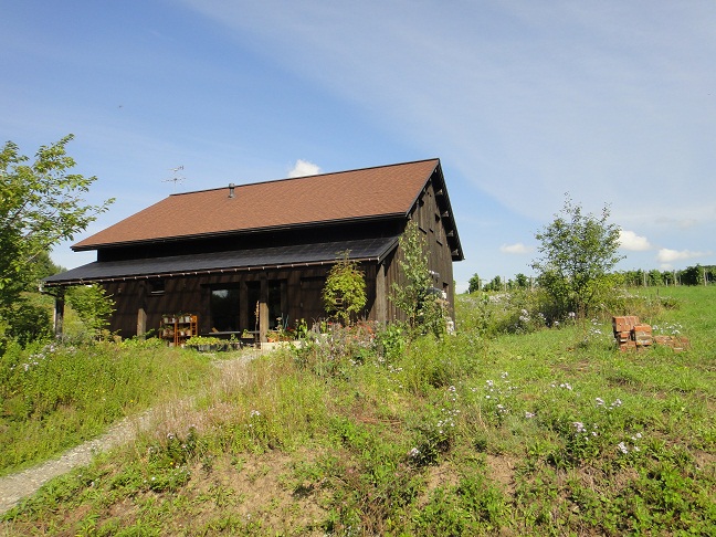 ビネヤードめぐり ランチ アンモナイト んちゃって英語ガイド