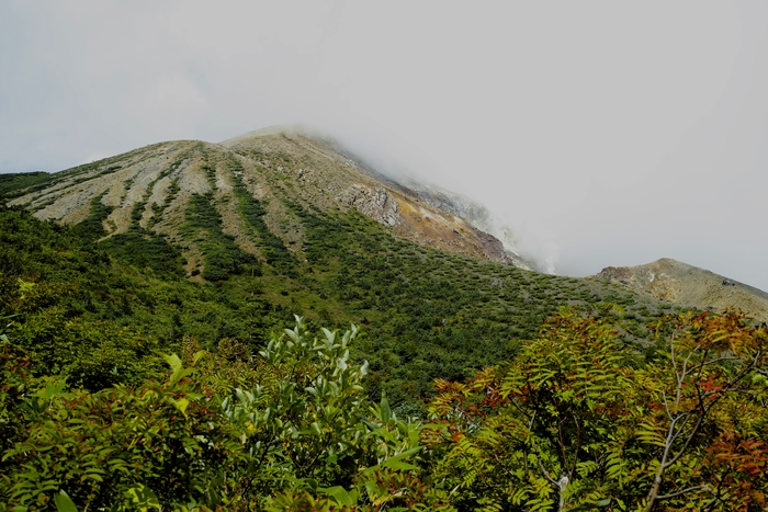 d0237340_19441149.jpg