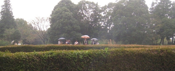 e0228147_032911.jpg