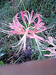 f0044056_22253060.jpg