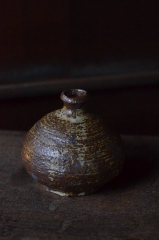 加地学 展 ~北の国から~ 8日目_d0087761_18582292.jpg