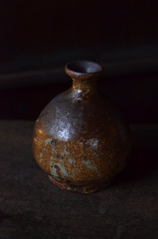 加地学 展 ~北の国から~ 8日目_d0087761_18594876.jpg
