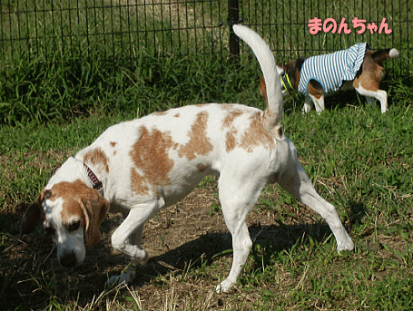 d0152869_20562515.gif