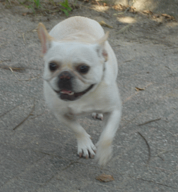 d0152869_2113377.gif