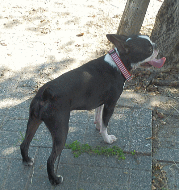 d0152869_2131367.gif