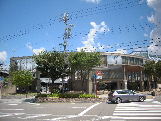 岡崎城2_e0033570_22282778.jpg