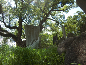 岡崎城2_e0033570_22345332.jpg