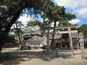 岡崎城2_e0033570_22354116.jpg
