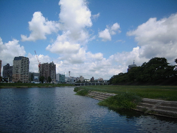 岡崎城2_e0033570_22372899.jpg