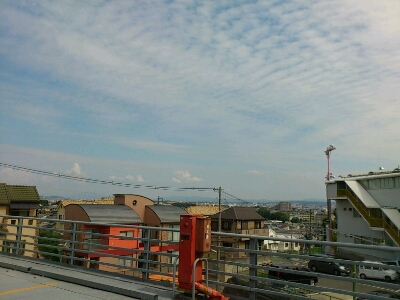 f0142070_11312059.jpg