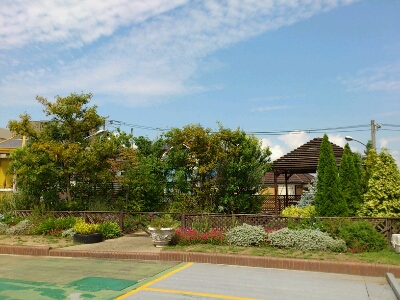 f0142070_11333251.jpg