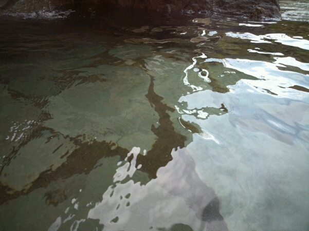 癒しの温泉♪ほうおう庭☆_d0260981_1258642.jpg
