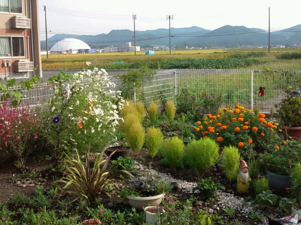 癒しの温泉♪ほうおう庭☆_d0260981_14363642.jpg