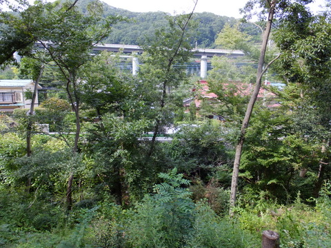 a0043982_18152048.jpg